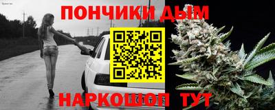 молекула духа Будённовск