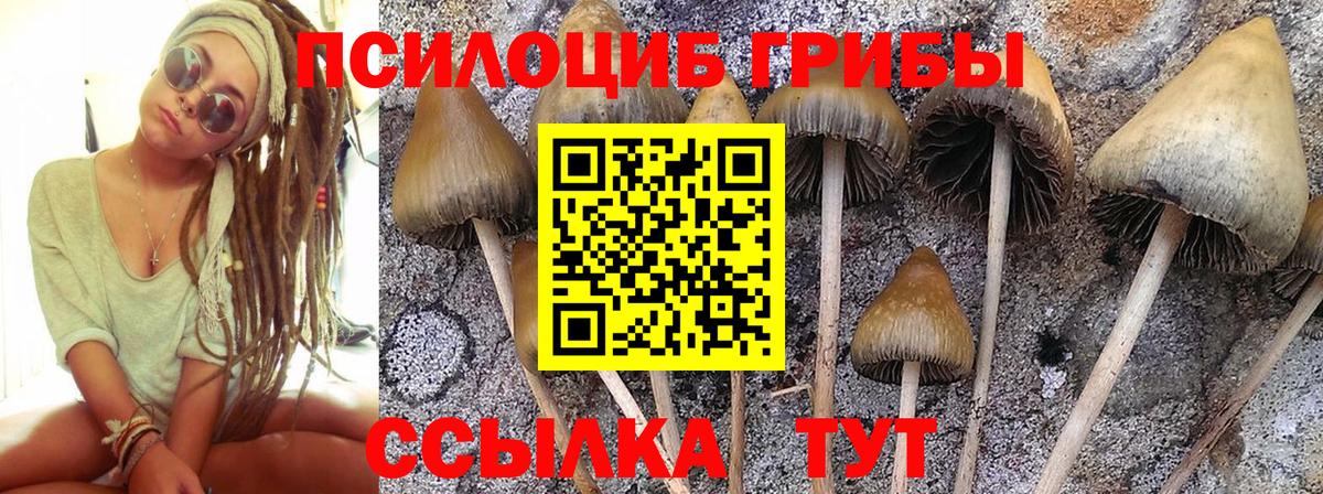 Киреевск  Галлюциногенные грибы GOLDEN TEACHER  Вход с VPN 